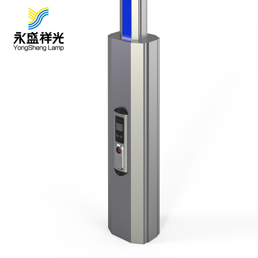 2020YS-ZHD-02