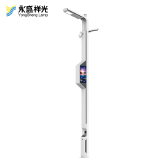 2020YS-ZHD-10