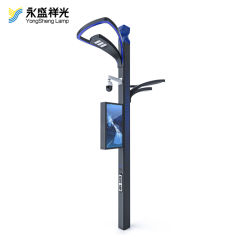 2020YS-ZHD-01