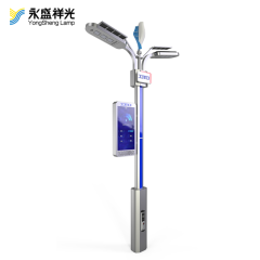 2020YS-ZHD-02