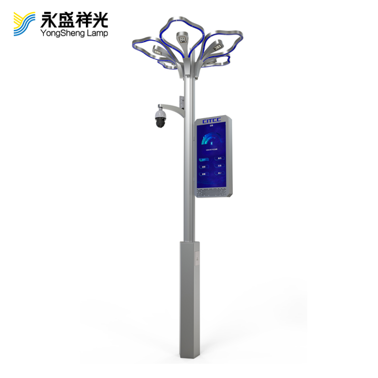 2020YS-ZHD-06