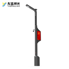 2020YS-ZHD-09