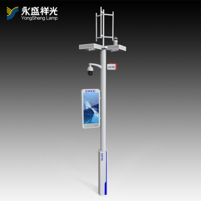 2020YS-ZHD-03