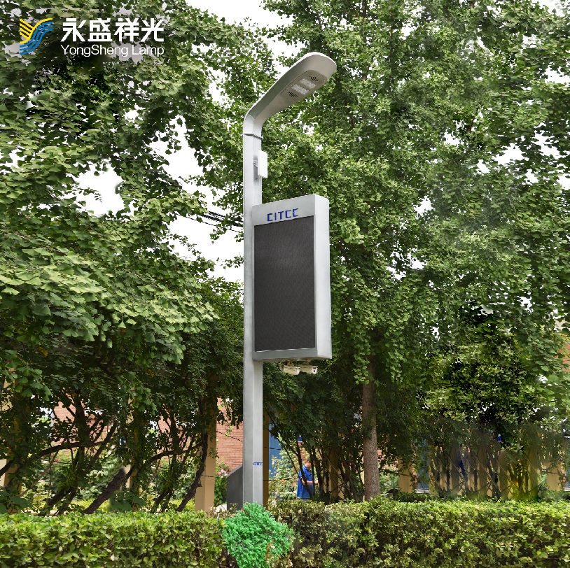 2020YS-ZHD-05