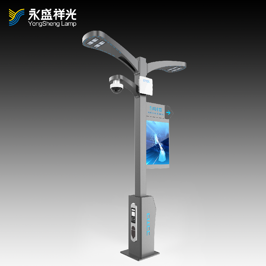 2020YS-ZHD-07