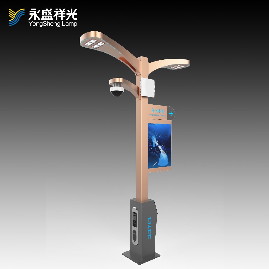 2020YS-ZHD-07