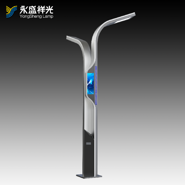 2020YS-ZHD-08