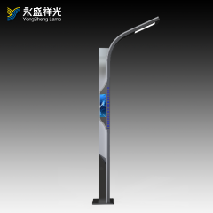 2020YS-ZHD-08