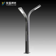2020YS-ZHD-08