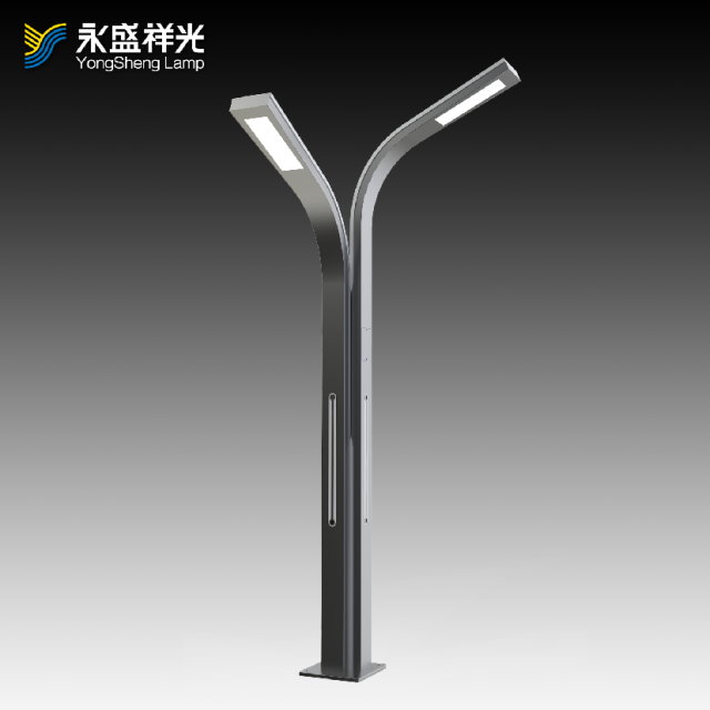 2020YS-ZHD-08