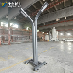 2020YS-ZHD-08