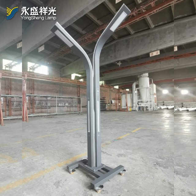 2020YS-ZHD-08