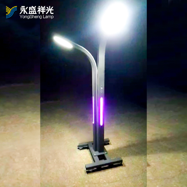 2020YS-ZHD-08