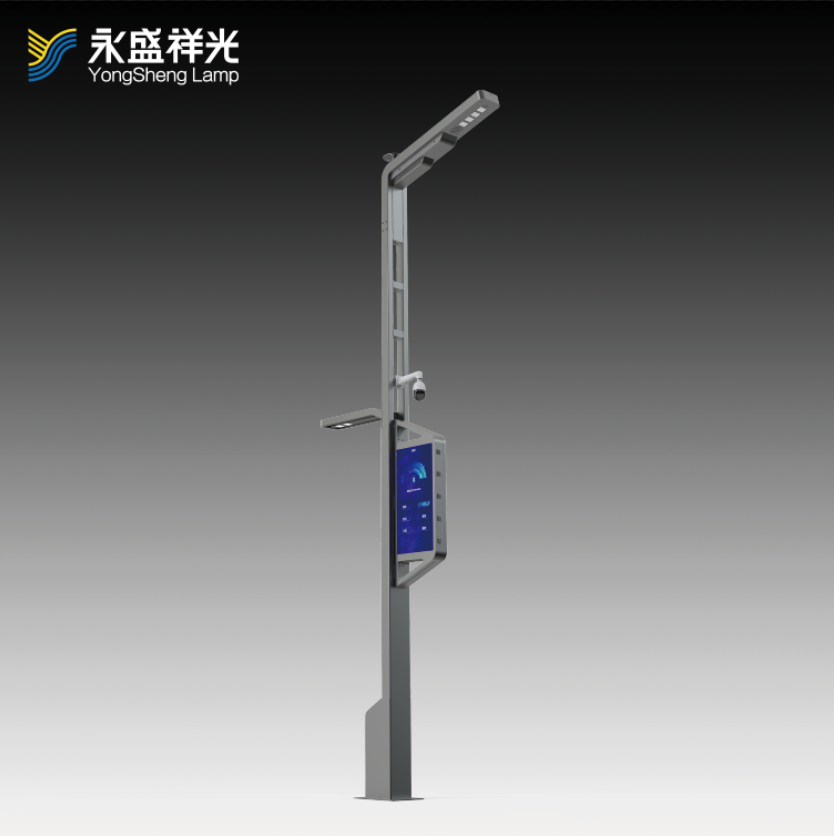 2020YS-ZHD-04