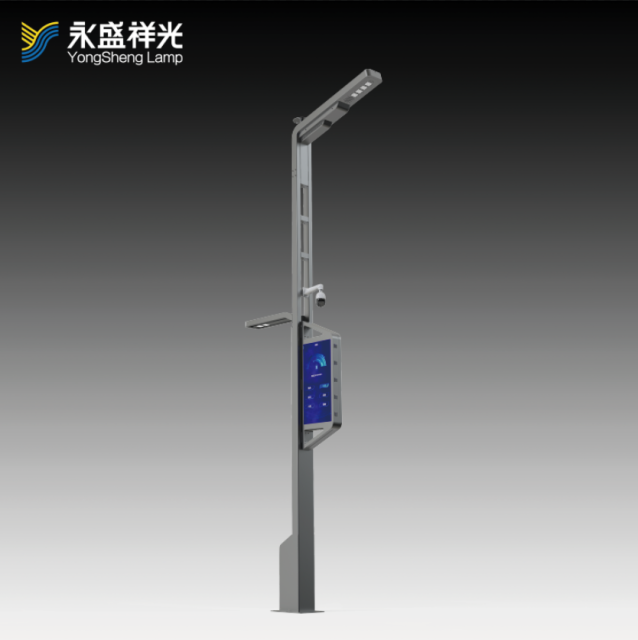 2020YS-ZHD-04