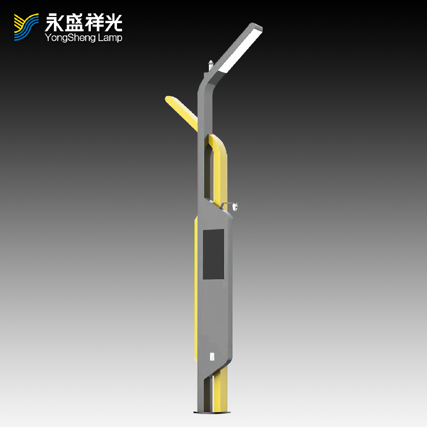 2020YS-ZHD-13