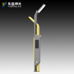 2020YS-ZHD-13