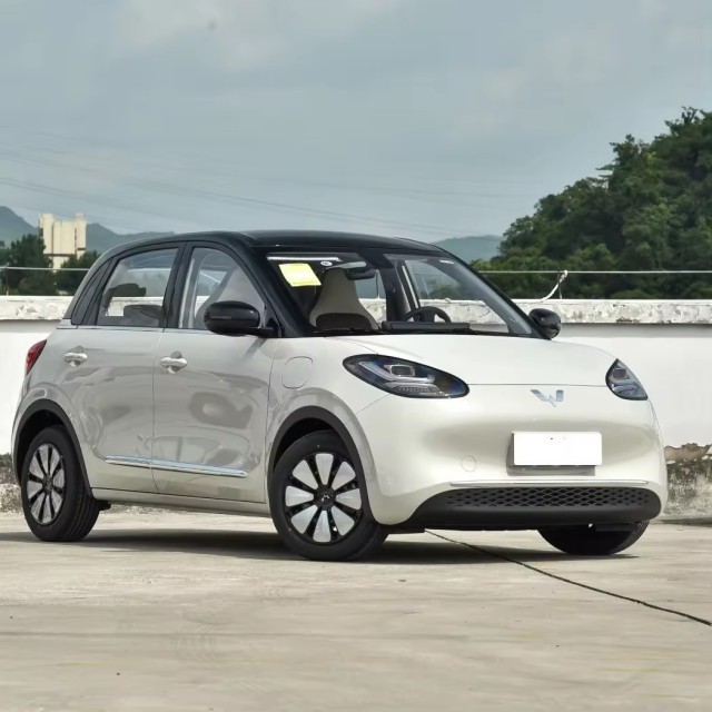 2023 New Electric Cheap Car MINI EV Coupe Hot Saling Mobility Scooter Comfortable+ Style For Wu Ling Bin Go Used Car