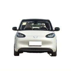 2023 New And Used Electric Cheap Car EV Coupe Hot Saling Mobility Scooter For Wu Ling Bin Go Car