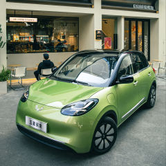 2023 New And Used Electric Cheap Car EV Coupe Hot Saling Mobility Scooter For Wu Ling Bin Go Car