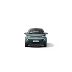 2023 new electric cheap car EV hot saling compact car 460km cloud MAX style For Wu Ling used car