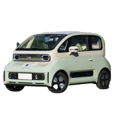 2023 New Electric Cheap Car EV Coupe Hot Saling Compact Car Zhi She Style 305km For Wu Ling KiWi EV Used Car