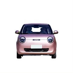 Changan Lumins 205km 2022 Honey Sweet Type New Energy Vehicle Hot Sale EV Electric Car for Adults