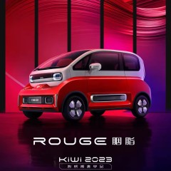 2023 new electric cheap car EV Coupe hot saling compact car da jiang style 301km For Wu Ling KiWi EV used car