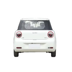 Chongqing Changan New Energy Vehicles mini ev car for adults Changan Lumins Multi-color new electric car for sale made in china