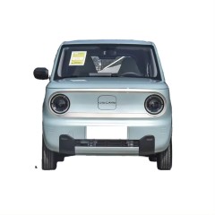 2023 Geely panda Mini new energy small ev car max speed range Fast Charge Mobility Scooter New Electric Car