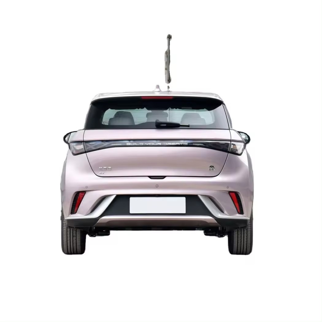 Wholesales Factory BYD Dolphin Ev Car 0KM Used Car Byd Dolphin 420KM Elektrikli Araba Vehiculo Electrico For Sale Byd Haitun