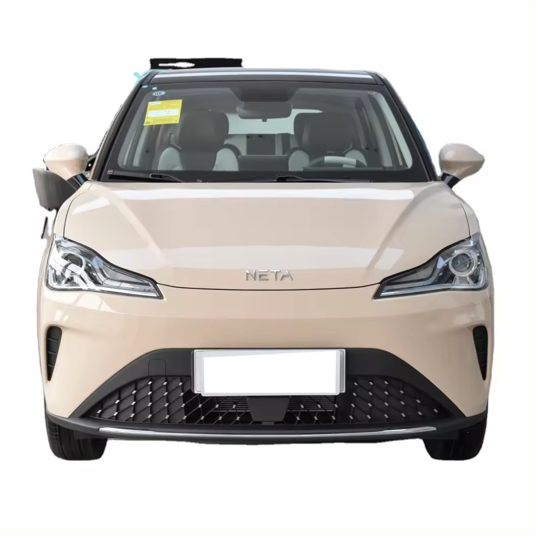 2023 New And Used Electric Cars EV Cheap AYA 318 Lite Hot Saling Made In China For NETA SUV Cars