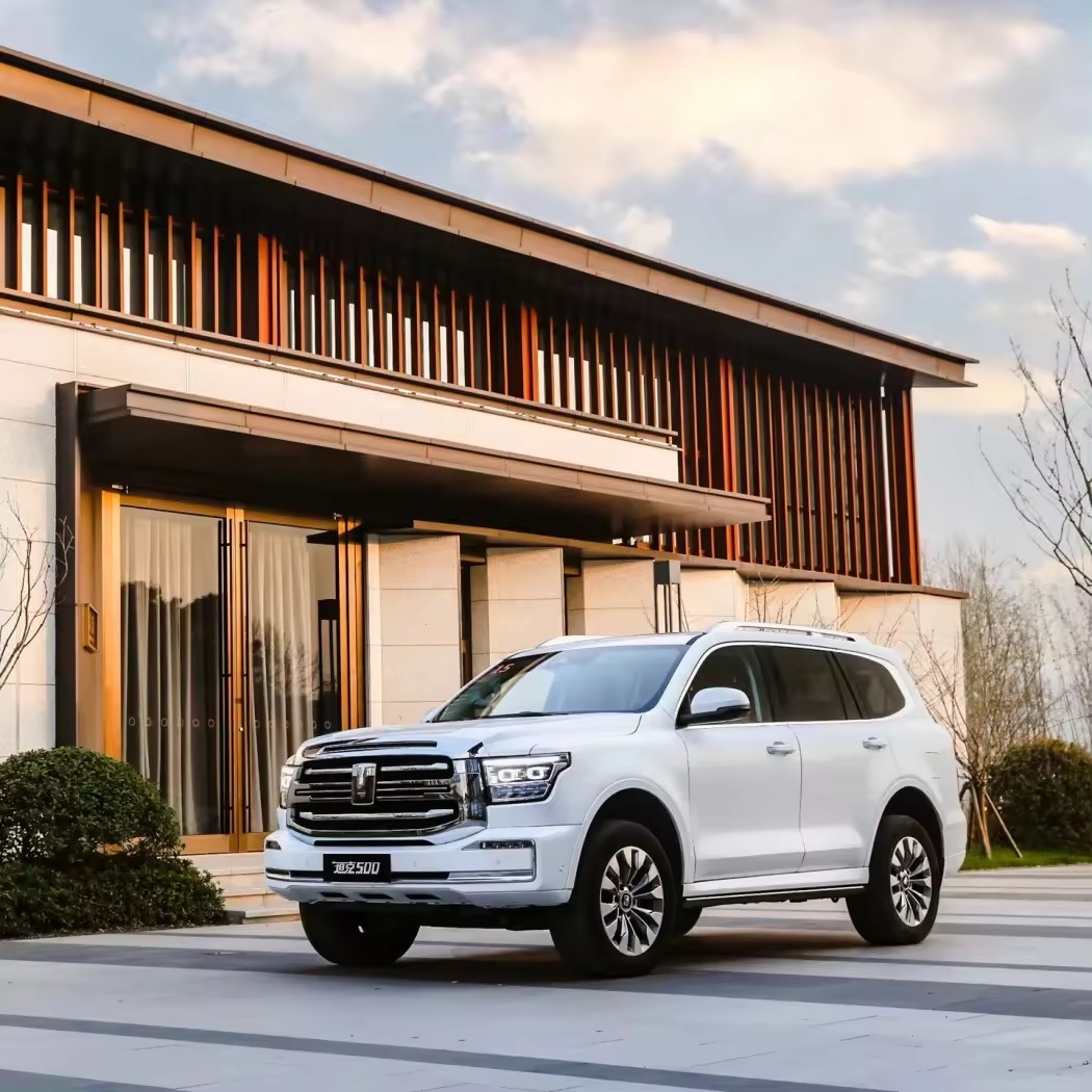 2023 In Stock Tank 500 Compact SUV Gasoline Car Model Off-Road Version 2.0T Adults Cars For Great Wall used cars