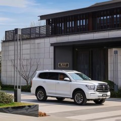 2023 In Stock Tank 500 Compact SUV Gasoline Car Model Off-Road Version 2.0T Adults Cars For Great Wall used cars