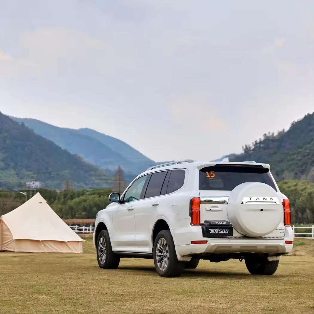 2023 In Stock Tank 500 Compact SUV Gasoline Car Model Off-Road Version 2.0T Adults Cars For Great Wall used cars