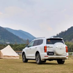 2023 In Stock Tank 500 Compact SUV Gasoline Car Model Off-Road Version 2.0T Adults Cars For Great Wall used cars