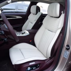 2021 New Design Hot Selling H9 E-Hs9 3.0T 4 Seats New Energy SUV Electric Cars in Stock For Sale