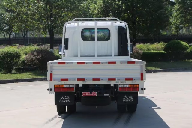 2023 China brand Dayun Shark gasoline version 129 horsepower 3.28 meters lorry small mini truck for DAYUN for sales