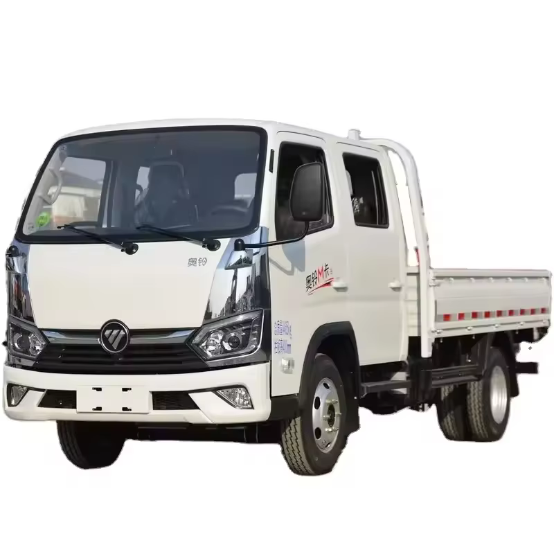 2023 China New Foton Ollin M truck Dual Row 132 Horsepower 5 seats 70 L Mini truck used Cargo Truck for Foton for sale