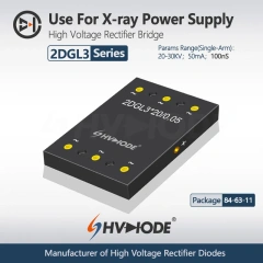 2DLG3 Series High Voltage Rectifier Bridge Used for X-ray power supply