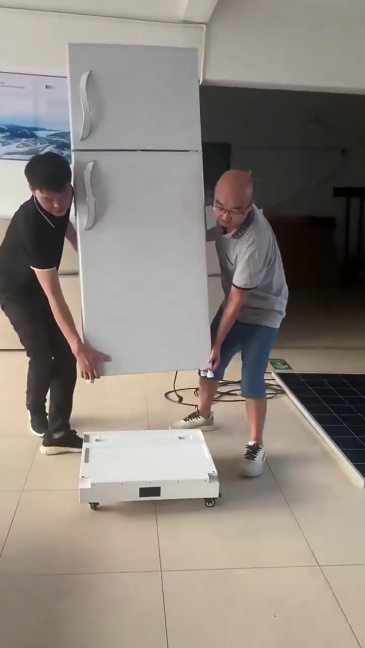 328L Solar Power Fridge/Freezer DC Design for Nigeria South Africa