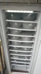 198L Solar Powered Ice Cube Maker/Freezer Kit Upright