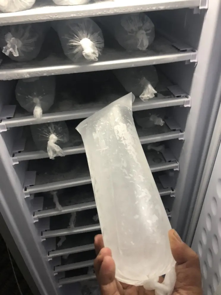 198L Solar Powered Ice Cube Maker/Freezer Kit Upright