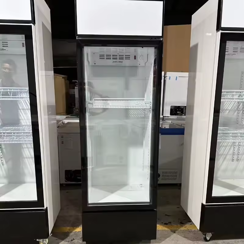 Solar Powered Commercial Beverage Cooler - 268L Vertical Glass Door Refrigerator | Off-Grid & Energy Saving