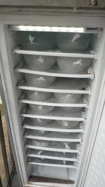 198L Solar Powered Ice Cube Maker/Freezer Kit Upright
