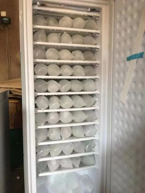 Solar-Powered Upright Freezer | 198L All-in-One Solar Freezer & Ice Maker Kit