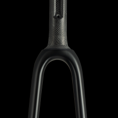 FK-00 Integrated Fork