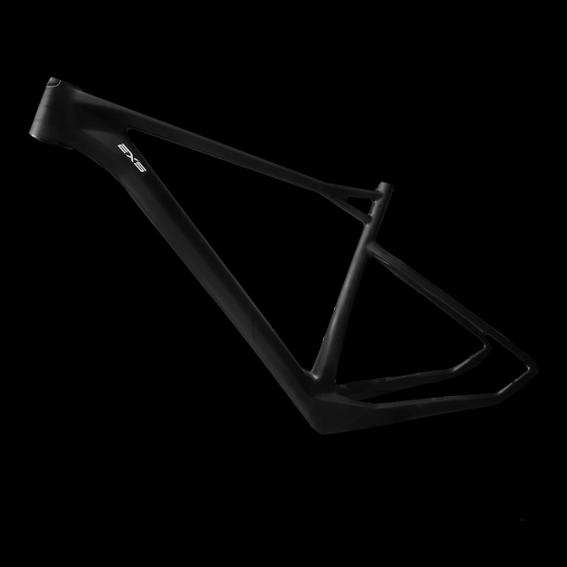EXS MS Frame