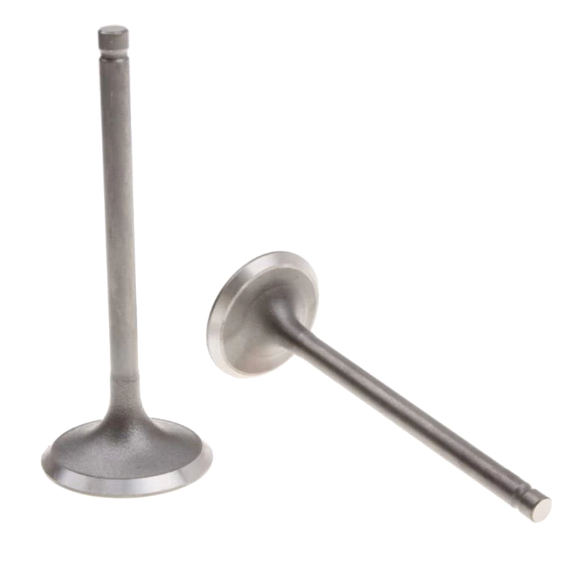 GOOFIT Intake Valve Exhaust Valve Replacement For Helix CN250 Elite CH250 Roketa 250 Linhai Aeolis 260 Water Cooled ATV Go Kart Scooter