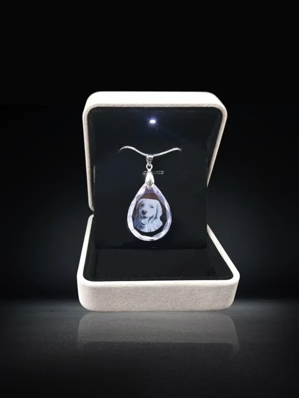 Personalized Pets Gifts Customized Crystal Jewelry Engraved Necklace First Surprise Gift for Girlfriend